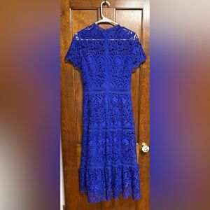 Royal Blue Lace Fit & Flare Dress
